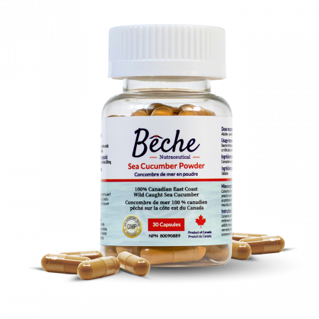 Bêche Sea Cucumber Capsules 600mg 30 Count