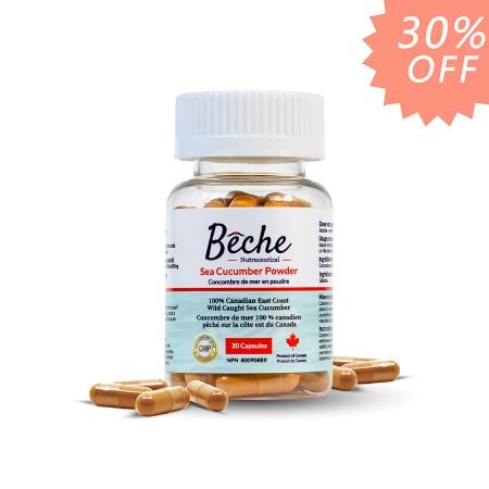 Beche Sea Cucumber Capsules
