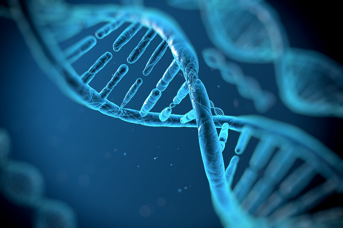 DNA - Reducing Biological Aging