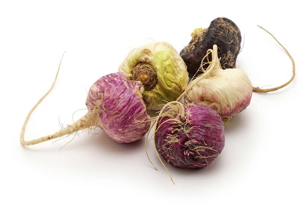 New Video: Maca's Bioactive Compounds and Benefits (Watch)