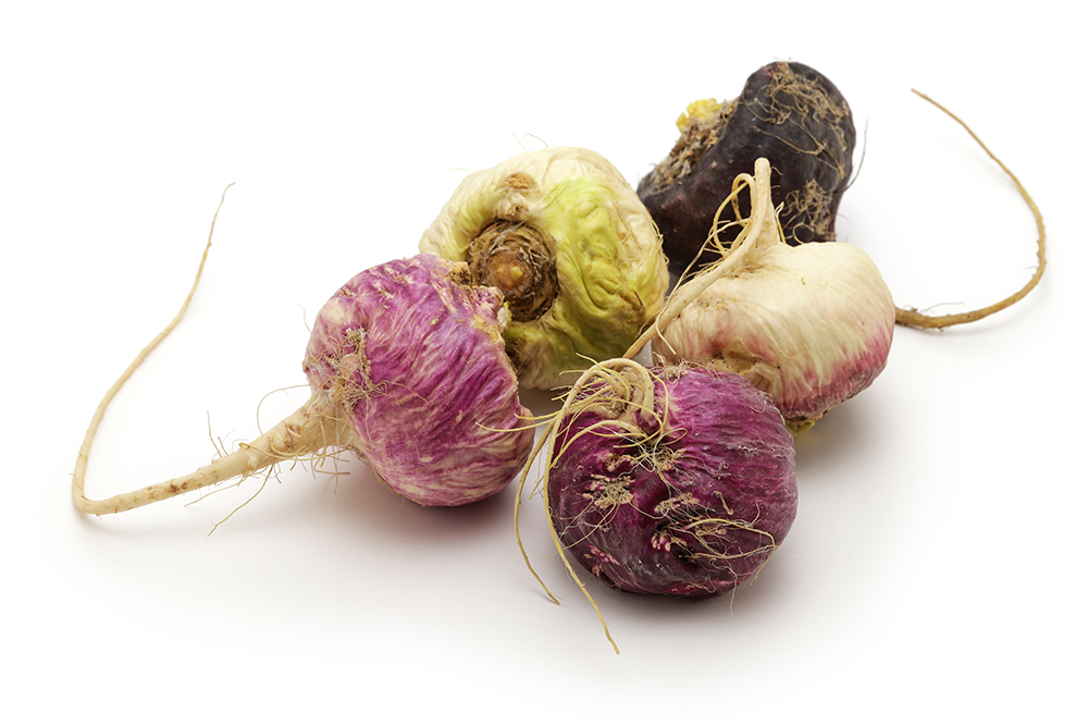 New Video: Maca's Bioactive Compounds and Benefits (Watch)