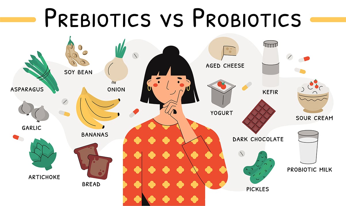 Infographic of prebiotics and probiotics