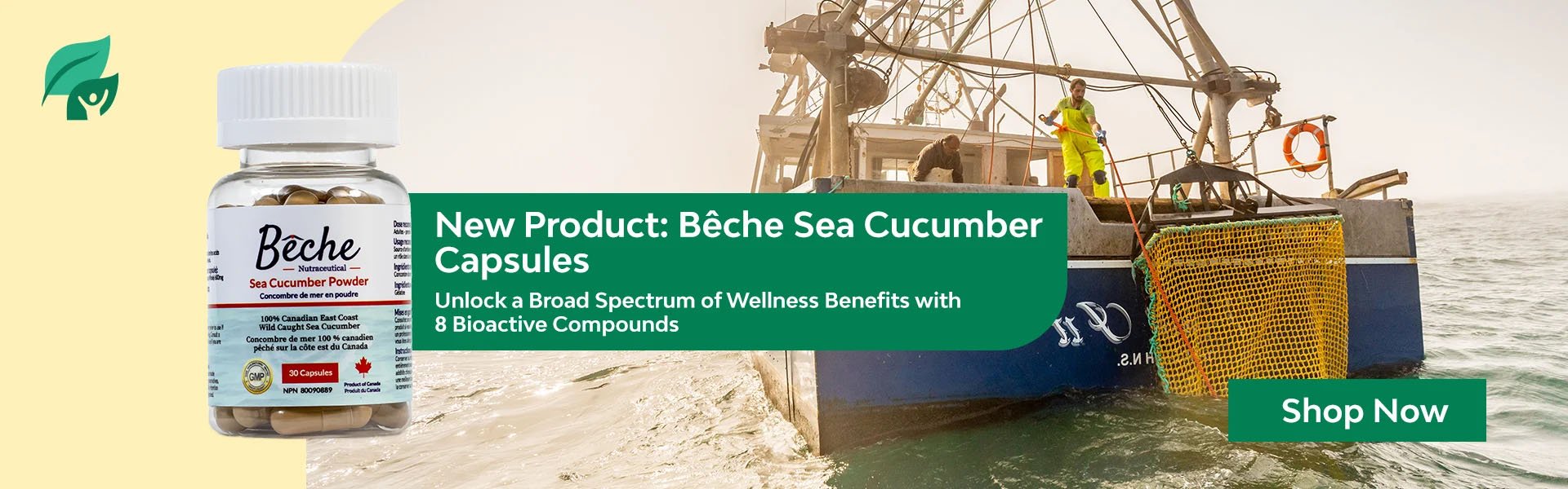 Beche Capsules Header