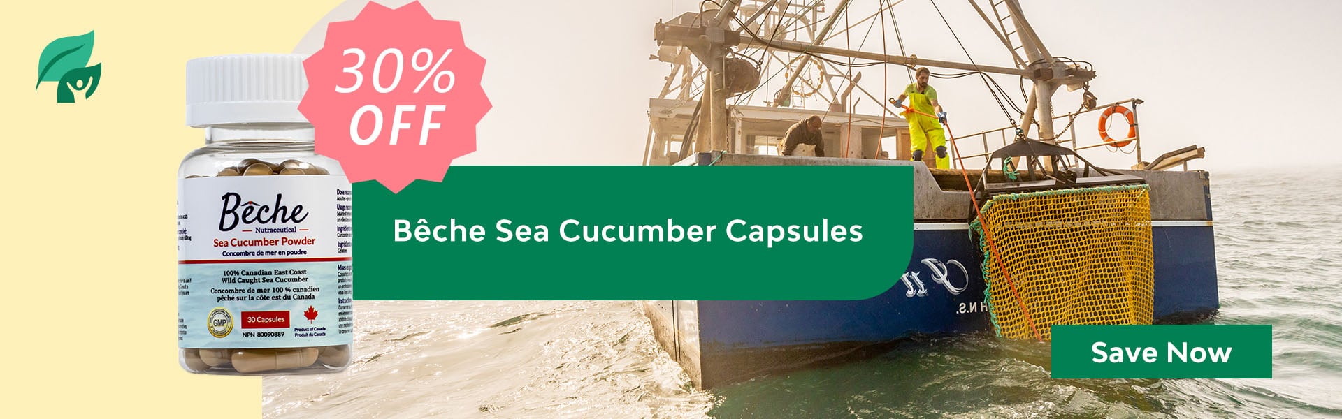 Sale on Sea Cucumber Capsules