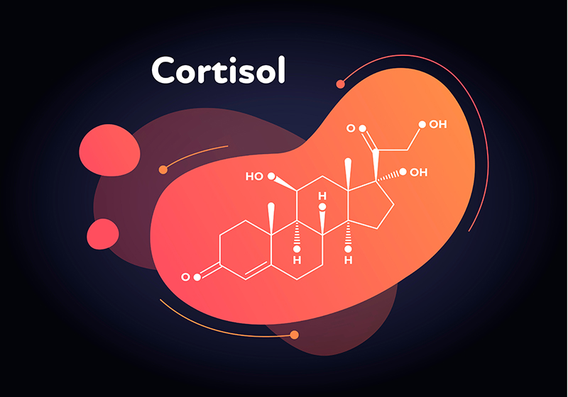 Cortisol