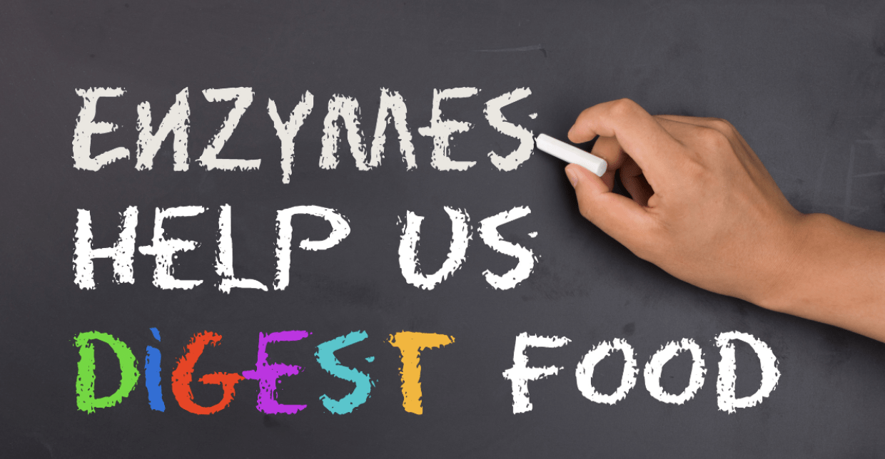 Digestive enzymes vs Probiotics: Enzymes text on chalkboard
