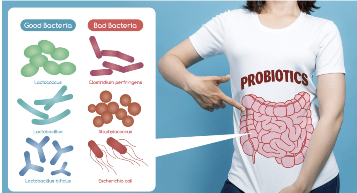 Digestive Enzymes vs Probiotics: Woman explaining probiotics