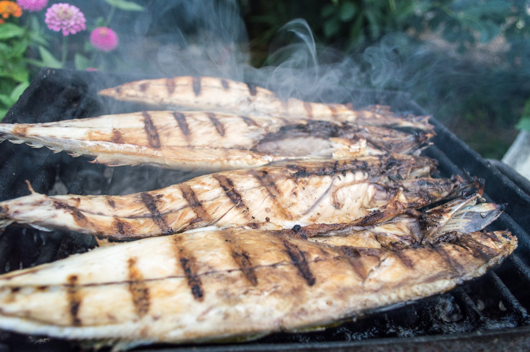 Picture of fatty fish being grilled. Full of Omega-3s