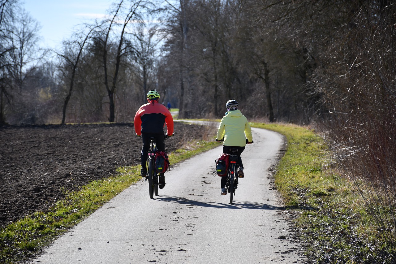 couple riding bicycles through a forest. 