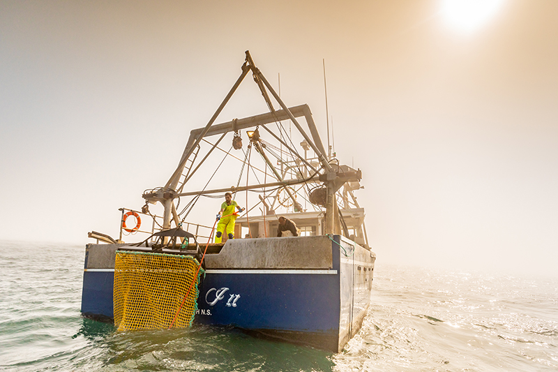 Sea Cucumber harvesting vessel