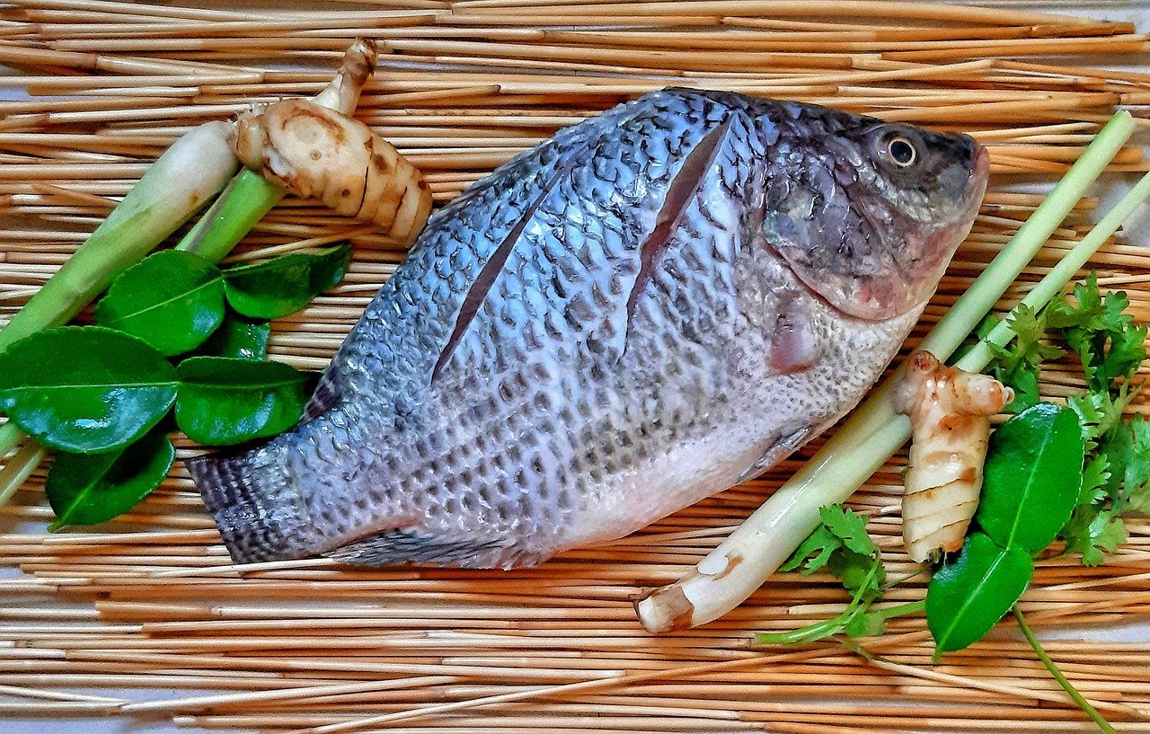 Healthy Fish to Eat: Tilapia