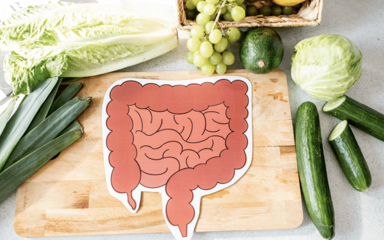 Digestive Enzymes vs. Probiotics: What You Need to Know