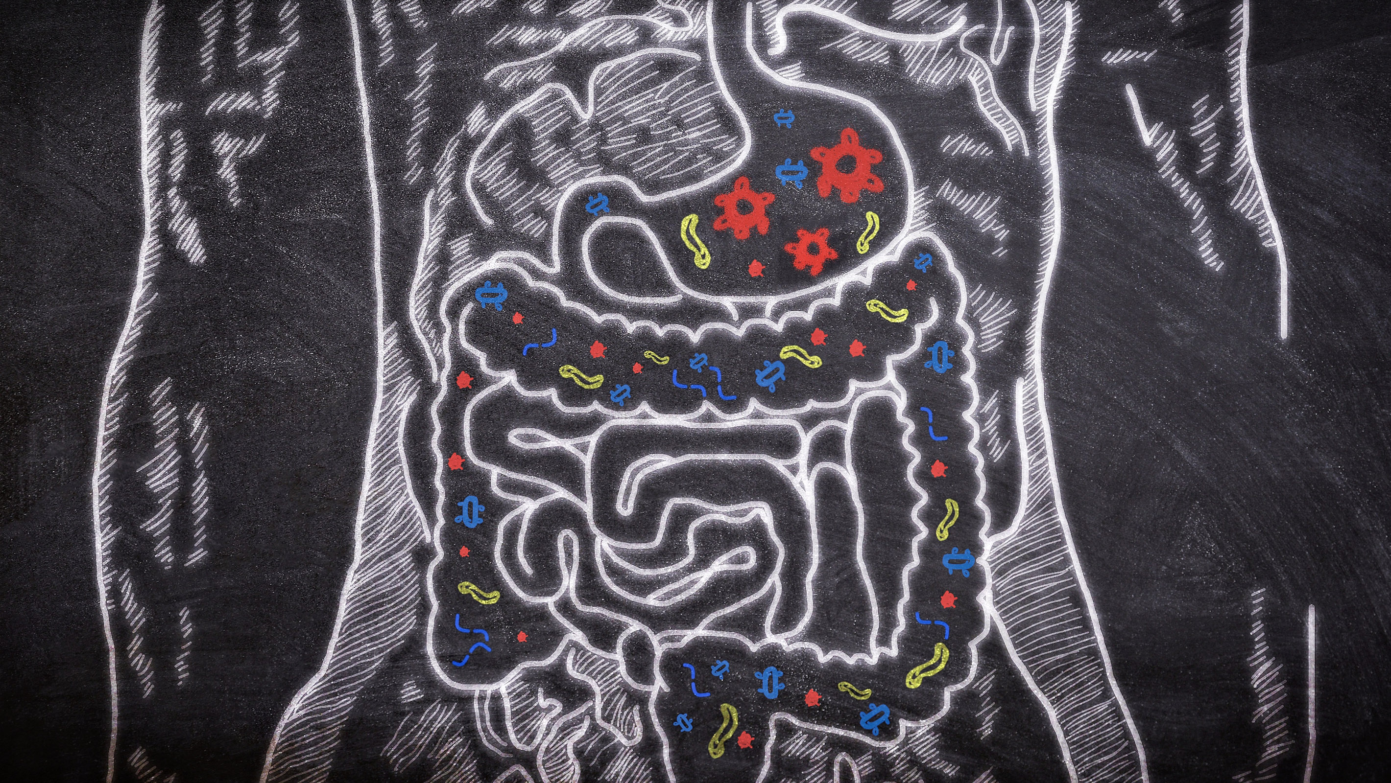 Should You Take Probiotics With Antibiotics?